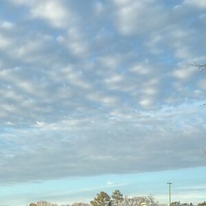 Meet your Posher, Maddy